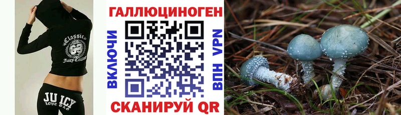 купить закладку  Кулебаки  Псилоцибиновые грибы мицелий 